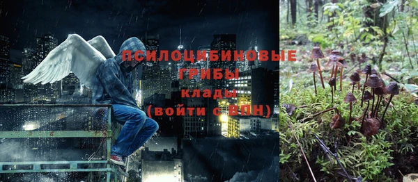 стаф Алексеевка