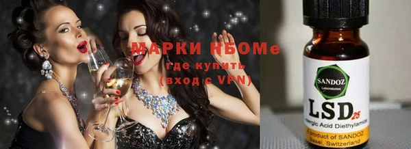apvp Алексин