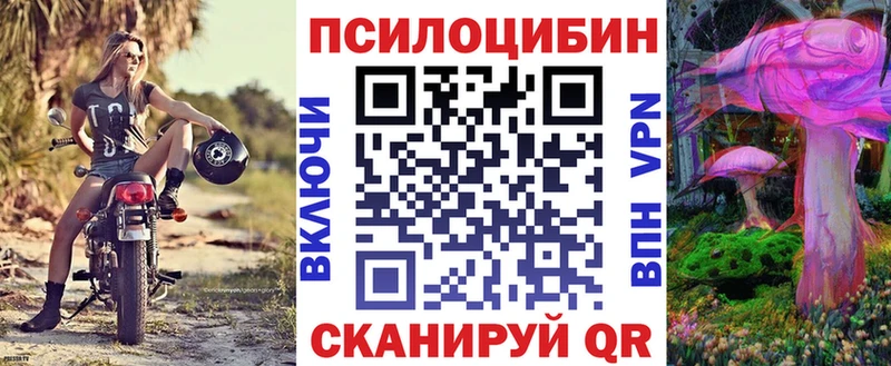 купить закладку  Юрьевец  ОМГ ОМГ как зайти  Псилоцибиновые грибы Psilocybe 