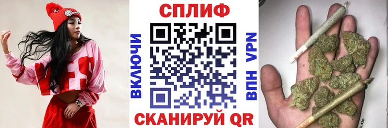 Бошки марихуана сатива  Юрьевец 